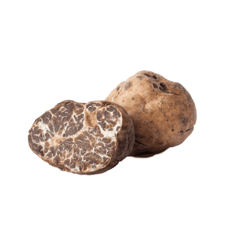 Frischer Trüffel -  Weißer Trüffel Tuber Borchi (Frühlingstrüffel, Märztrüffel) – Bild 1