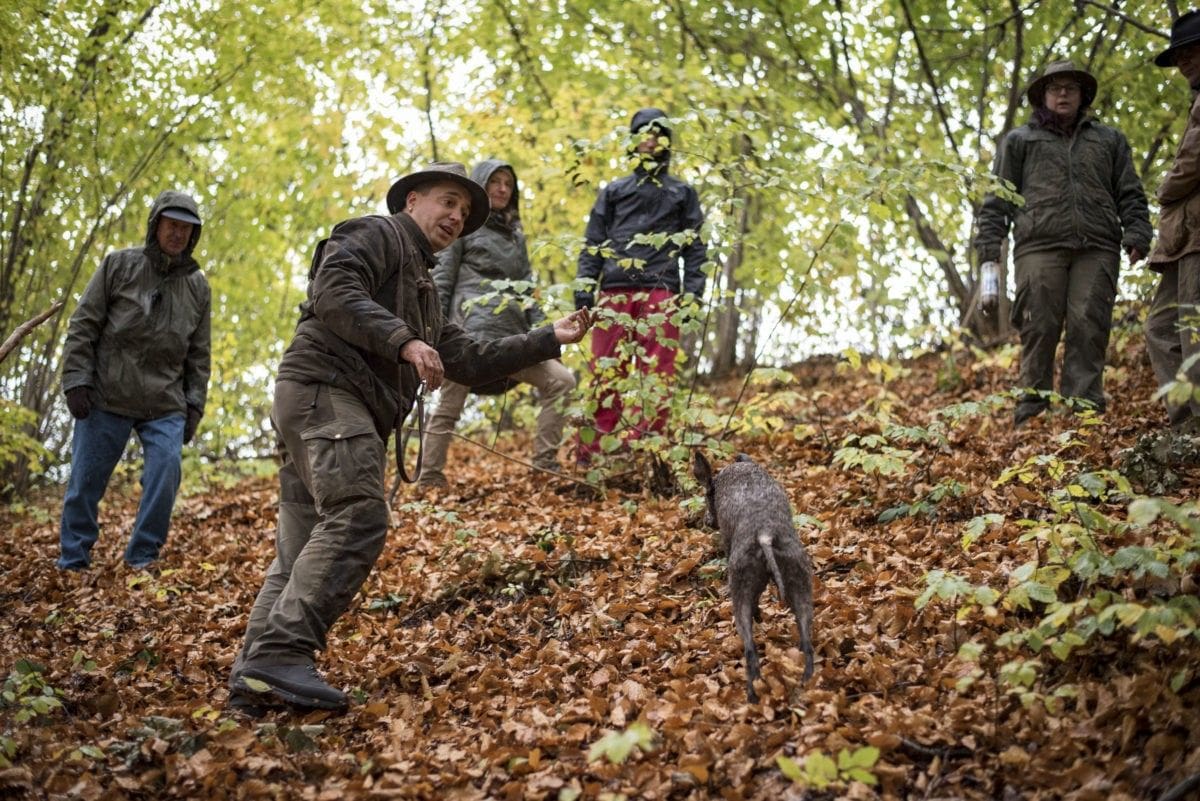 Trüffelsuche im Allgäu Trüffeltour buchbar Online