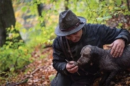 Trüffelfund Trüffeltouren geführte tour über Trüffel im Allgäu